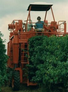 Coffee-Harvester